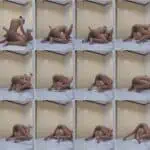 cdebf2bdf97feb83d4ecdc46f7c4630a thumbnail preview