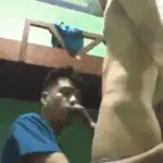 Capture 66
