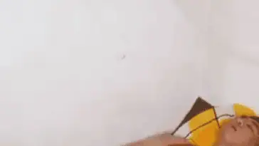 Capture 25