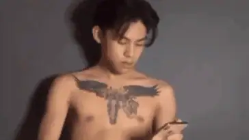 Capture 295