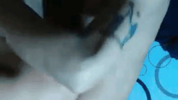 Capture 15