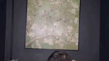 Capture 247