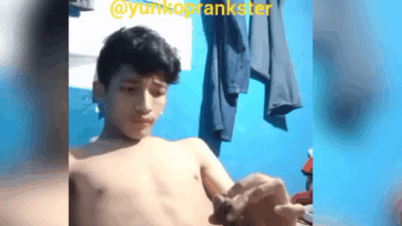 Capture 8